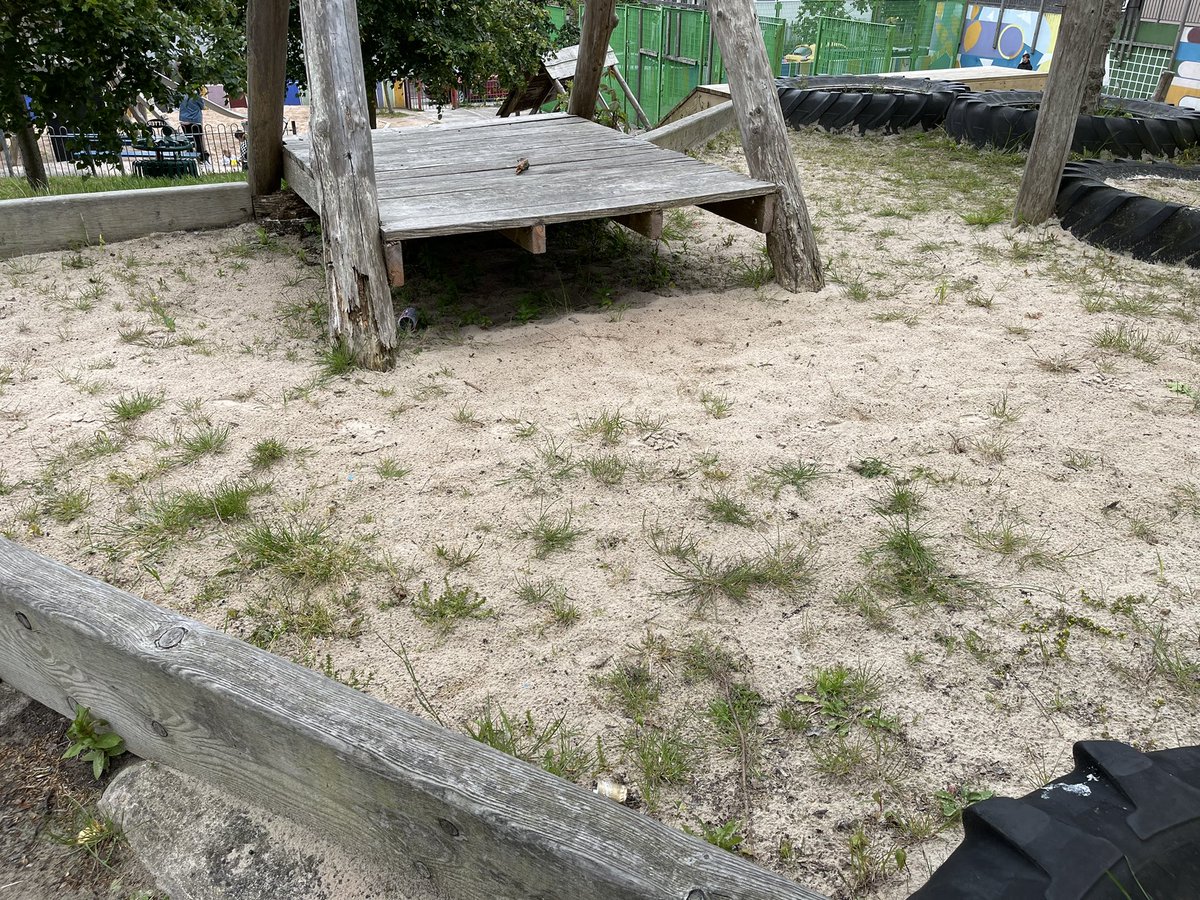 ashtongraham1's tweet photo. @plymouthcc  so many parks and streets are looking like this why is there no one doing anything about it ? https://t.co/N7G7qpDdnV