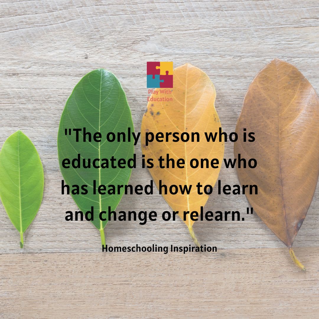 Play With Education tweet media