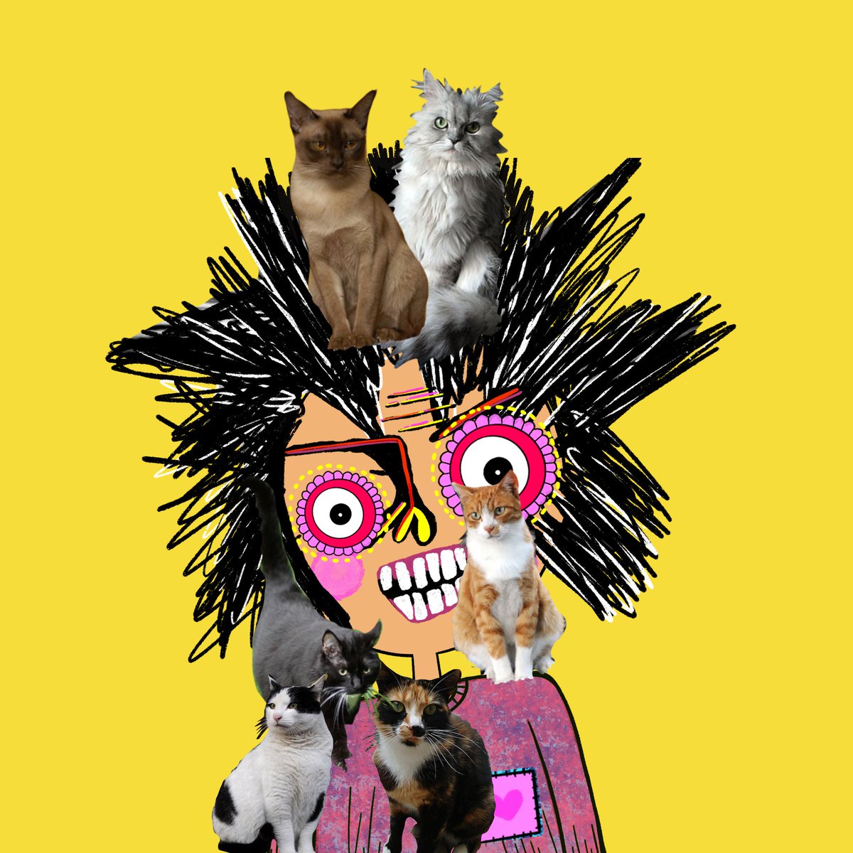 Happy Tuesday friends.
How many like her? 😻💜😹💜💜🐱💜😽💜😸💜🙀💜😺💜