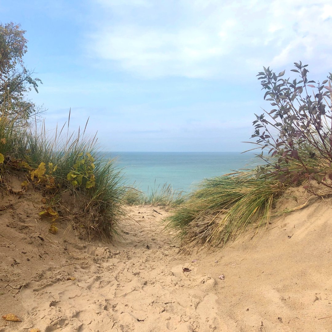 Indiana Owned tweet media