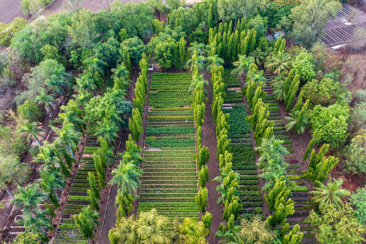 agnee_cool's tweet photo. Welcome #monsoon we are ready with our nursery. Plant native species this monsoon at suitable place. #socialforestry #plants #GreenIndia #forest #saplings @moefcc @CentralIfs https://t.co/sBE5IrCzKA