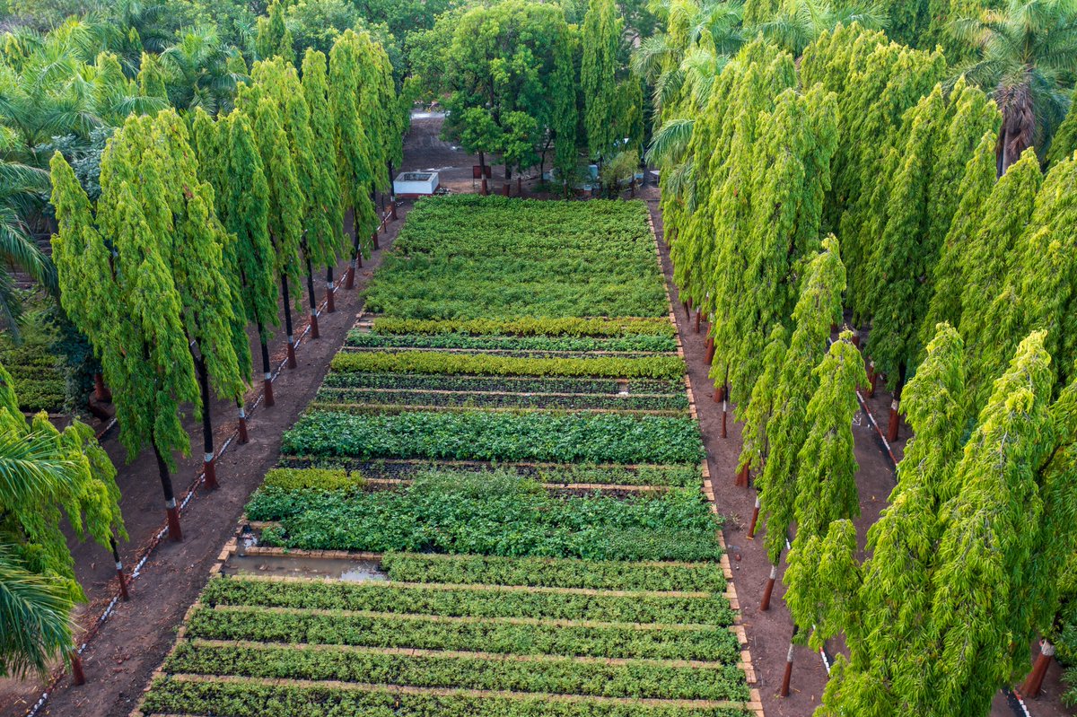 agnee_cool's tweet photo. Welcome #monsoon we are ready with our nursery. Plant native species this monsoon at suitable place. #socialforestry #plants #GreenIndia #forest #saplings @moefcc @CentralIfs https://t.co/sBE5IrCzKA