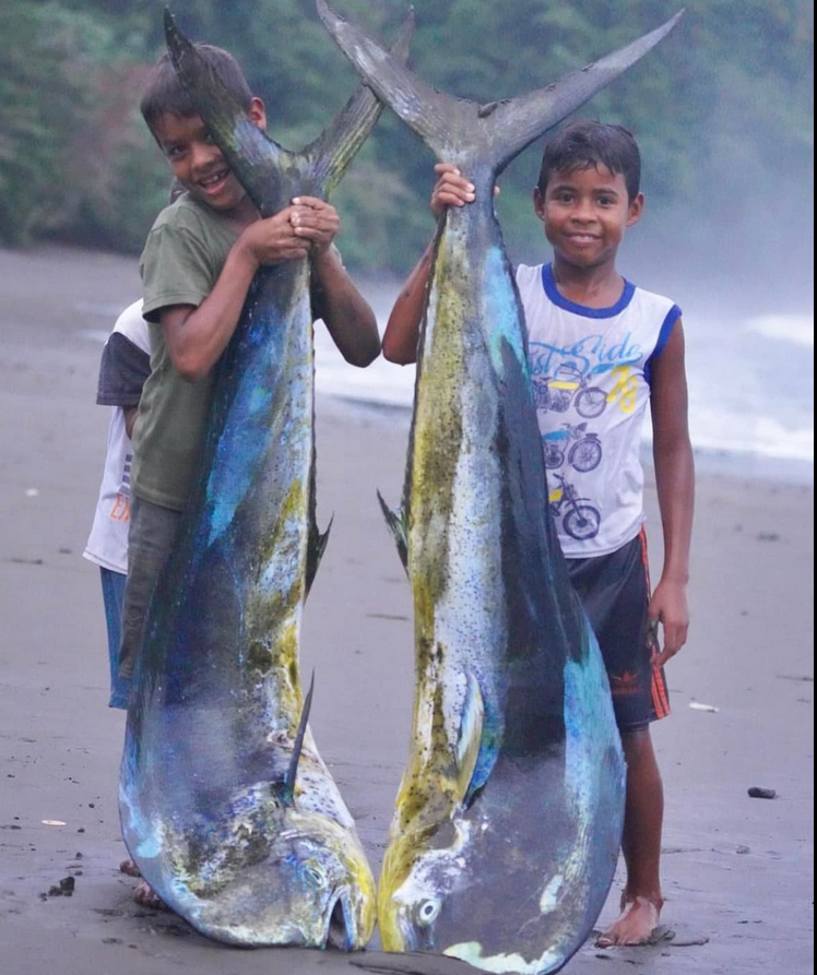 pescaparafuturo's tweet photo. Gemelos y  gemelos #doradodoble https://t.co/7kJSNi79rx
— in Costa Rica. https://t.co/keKq9ODvoP