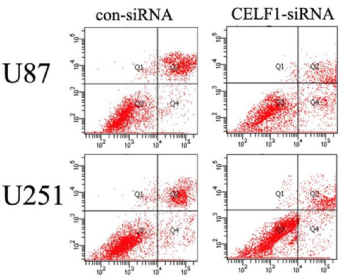 MicrobiomDigest's tweet image. #ImageForensics #FlawCytometry.
Tell or show me what you see. It is a work of art!