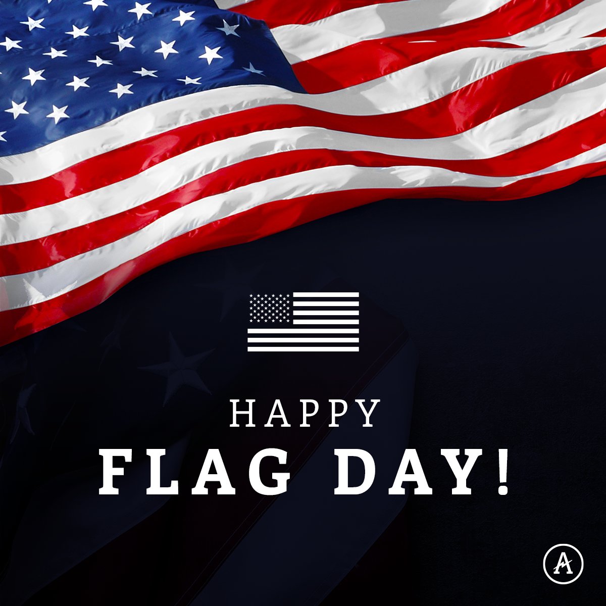 ArtemisShield1's tweet photo. Happy Flag Day! In 1777 we adopted the iconic red, white, and blue as our national flag. We are proud to run our business under this flag while supporting working Americans and partnering with many government agencies.
#GetTheLeadOut #AlabamaMade #MadeintheUSA #flagday https://t.co/FKVd5qj0qB