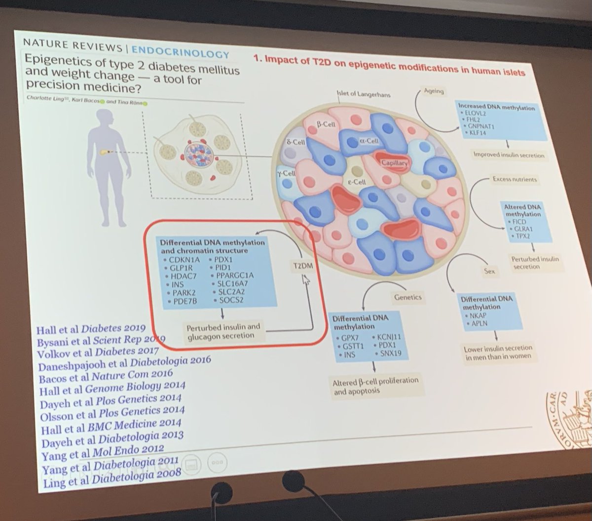 EISG_2022's tweet photo. Charlotte Ling closes the session with a talk on epigenetics and islet dysfunction. https://t.co/I4J4B7noHb