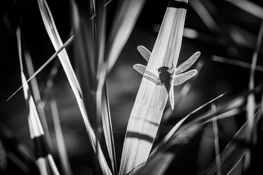 studiomely's tweet photo. Portrait de professionnel - le cuisinier
https://t.co/I1BsMQJC6K
#Alpes #AlpesMaritimes #Artistes #Arts #blackandwhite #Blanc #Business #ClowndeBuffet #delartentoutechose #Femme #Glamour #Hommequirit #Humain #light #manlaugh #Masculin #mely #Music #Musique #NB #Noir #Noiret... https://t.co/eRbwCKhRQb