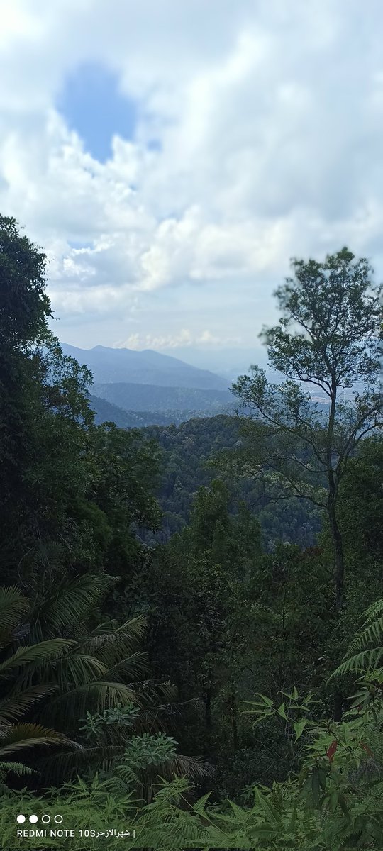 RedShahrul's tweet photo. https://t.co/AtLBJPygN8