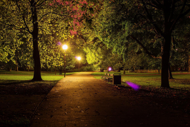 Study shows how artificial light affects seasonal rhythms of plants in U.S. cities • News Service • Iowa State University shar.es/afHZ3Y 
#phenology #climatechange #lightpollution #Pollen #Allergy