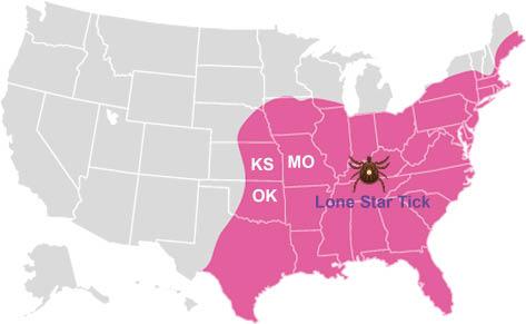 Research Advances in Bourbon Virus a Tick-borne Thogotovirus of the Orthomyxovirus Family zoonoses-journal.org/index.php/2022… #virus #research #tick
