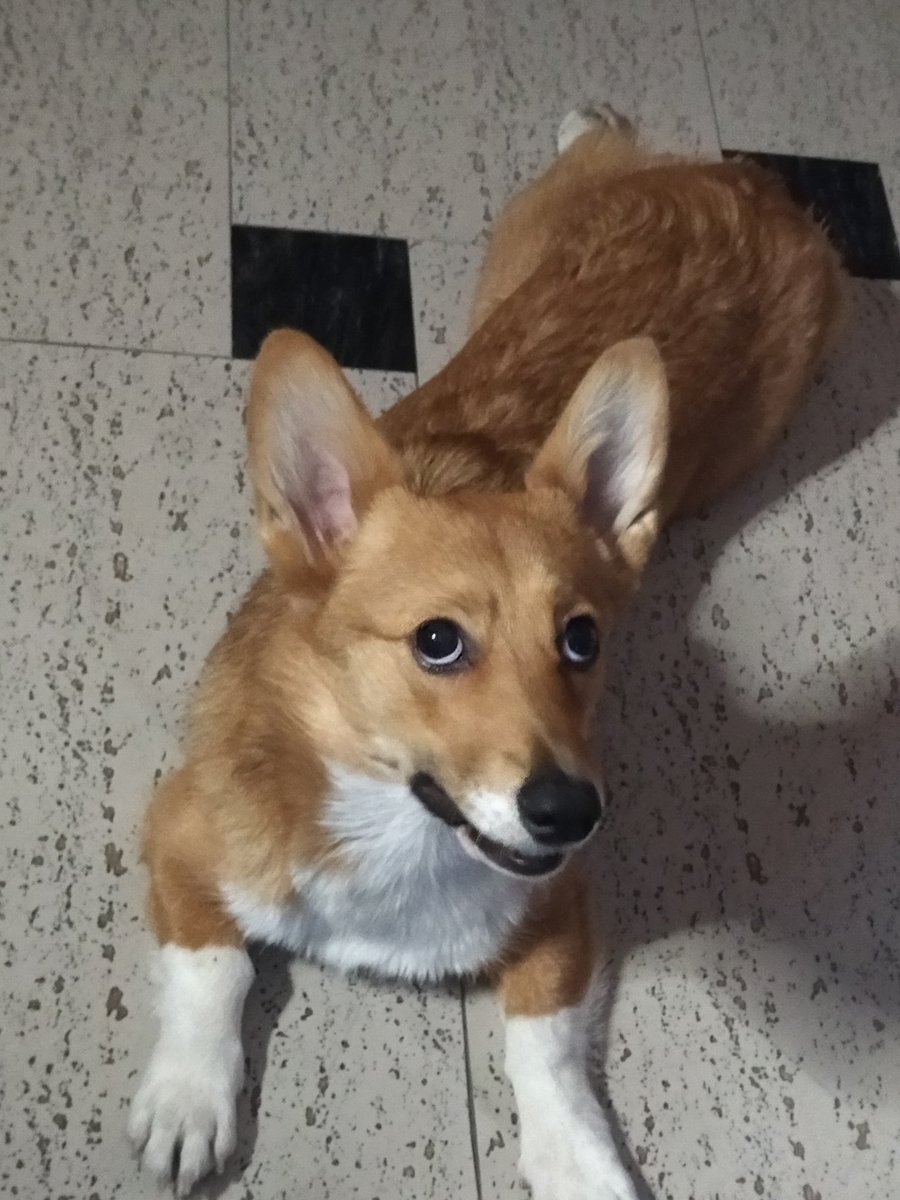 Kimysushi's tweet photo. Yo: Ayñ vengache mi cosita piciosa bb de mi corazón princesita.
Maya: https://t.co/ThB3FoRfMW