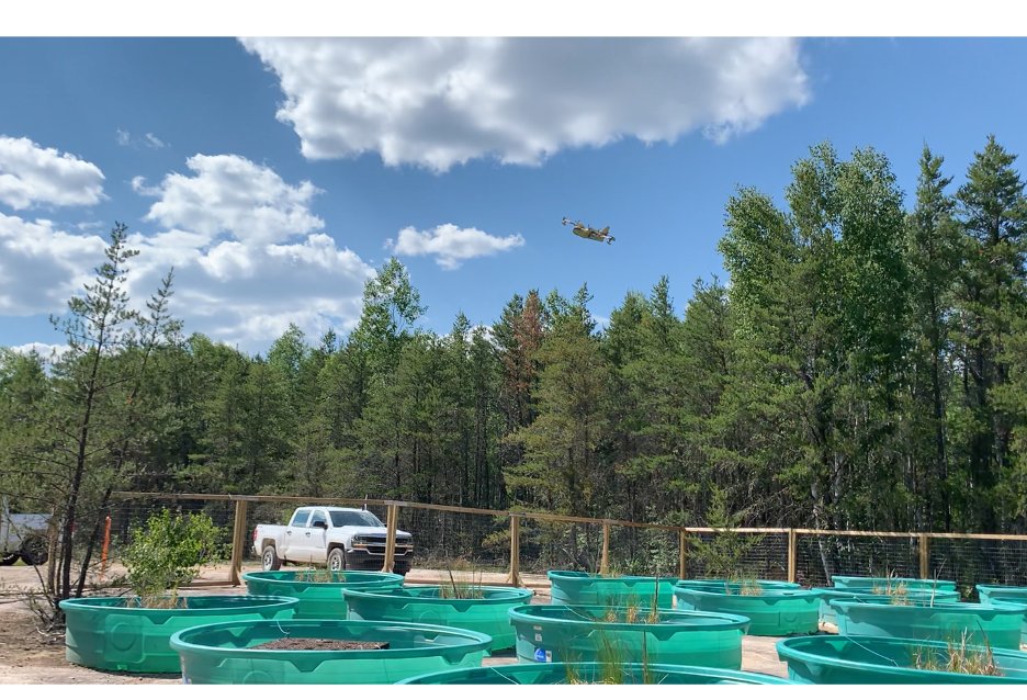 Mr_AdamScott's tweet photo. We are eager to share this aspect once complete to help tell the whole story on characterizing oil effects. Anyway…. Thanks for following along, fire away with questions/ comments #LaurentianPrairieResearch @LaurentianSETAC @SETAC_PNC 11/11 https://t.co/fsXXbNnTPq