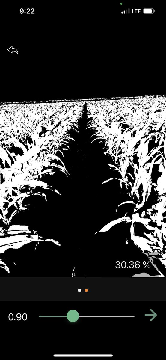 TylerVreugdenh1's tweet photo. 211-11: The new kid on the block at 111RM
@ChannelSeed https://t.co/VWrAzRSi7N