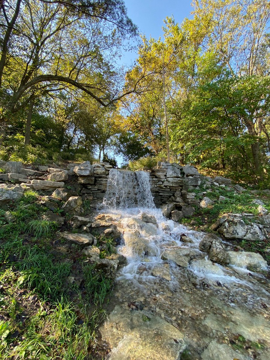 ForestPark4Ever's tweet photo. It’s HOT. ☀️ Soak up the shade or play in the water at some of these amazing spots in the Park:
💚 Anne O'C. Albrecht Playscape Splash Pad
💚 The Cascades 
💚 Successional Forest 
💚 Kennedy Forest 
💚 Variety Wonderland Splash Pad https://t.co/eXtaFMDOvP