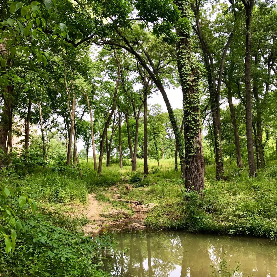 ForestPark4Ever's tweet photo. It’s HOT. ☀️ Soak up the shade or play in the water at some of these amazing spots in the Park:
💚 Anne O'C. Albrecht Playscape Splash Pad
💚 The Cascades 
💚 Successional Forest 
💚 Kennedy Forest 
💚 Variety Wonderland Splash Pad https://t.co/eXtaFMDOvP