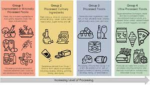 Professor Carlos Monteiro explained his Nova system food classification for us at Swedish Hospital's Metabolic Health Symposium. Very useful for consumers. <a href="/CMonteiro_USP/">Carlos A. Monteiro</a>