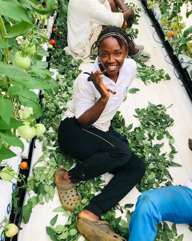 DinmaEzeh's tweet photo. Need a new screenhouse foot wear and only @Crocs can give that comfort while working to feed the world.
@enioluwa  how many likes to get @Crocs customised farm foot wear? https://t.co/7JOuo96CRW