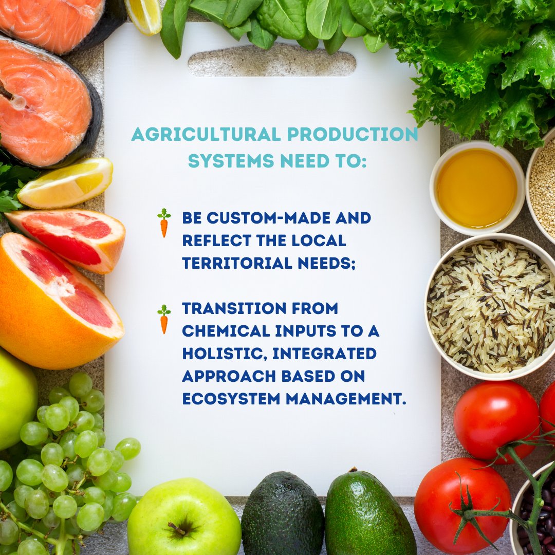 WUWMarkets's tweet photo. 🔎This week’s #InFacts are out!​

@FAO estimates 75% of crop diversity was lost between 1900 and 2000, a result of #climatic, #political, #technological, and #agricultural changes.​

#WUWM #InFacts #cropdiversity #agriculturalproductionsystems https://t.co/LtjwqL7m1F