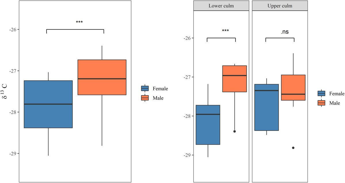 Adam West (@adamgwest) on Twitter photo Such a cool explanation of a decade-old puzzle in the CFR. Male and female restios differ in water use efficiency due to phenology, not physiology. Males get a head start, growing when hot and dry, to be ready with pollen when females mature. onlinelibrary.wiley.com/doi/10.1111/ae… <a href="/skelrob/">skelrob@gmail.com</a> Such a cool explanation of a decade-old puzzle in the CFR. Male and female restios differ in water use efficiency due to phenology, not physiology. Males get a head start, growing when hot and dry, to be ready with pollen when females mature. onlinelibrary.wiley.com/doi/10.1111/ae… <a href="/skelrob/">skelrob@gmail.com</a>