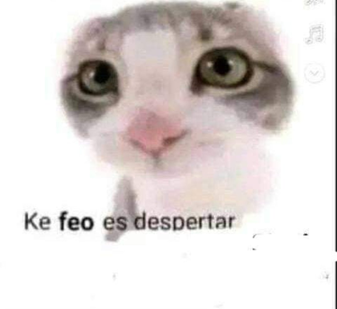 paydekoo's tweet photo. Yo después de ver pq Thank You BTS es tendencia en Twitter: https://t.co/MKKgIO4K67