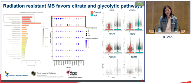 MorganAdamsFdn's tweet image. Bethany Veo just finished presenting her exciting work about how metabolic changes drive stem cells and radiation resistance in #medulloblastoma, the second of compelling back-to-back Colorado research presentations at #ISPNO2022