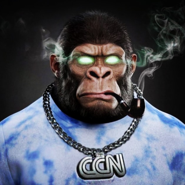 rahbari_ashkan's tweet photo. @CCNnet Everything will be fine,CCN will come to beautiful places 2022 will be a very good year with CCN🚀🚀

#CCN
@coinmarketcap
@coingeko
@coinbase https://t.co/4wQVlK1hrp