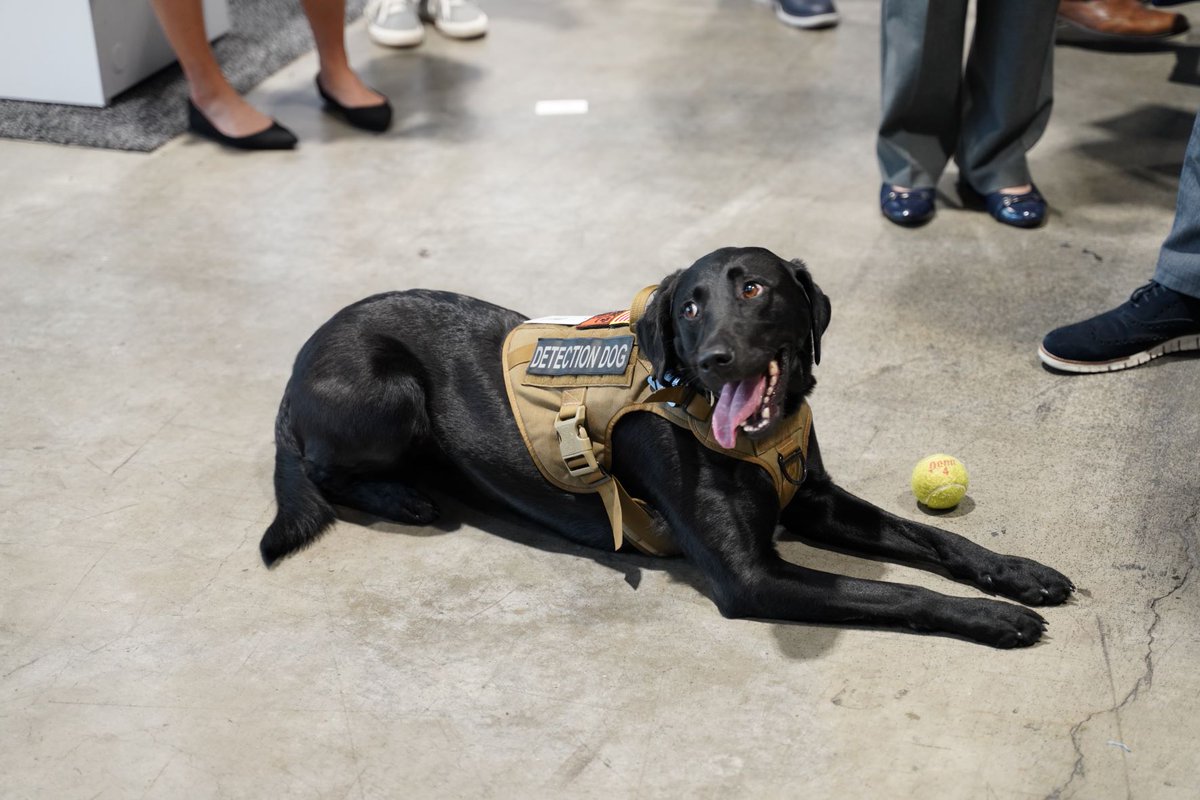 asterratech's tweet photo. After we spoil Vessel @CAWDetectiveDog with plenty of tennis ball time, next up are more Partner Theater presentations from the team from @Hidromedidores &amp; #TeamASTERRA. Come see us at booth 20089!

 https://t.co/kfa5H66rJY

#ASTERRAatACE22 #AWWAACE #ASTERRA #ACE22 #LeakDetection https://t.co/I2Lp0AoGig