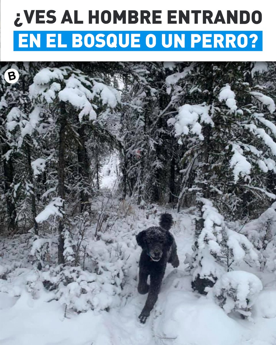 ¿Qué ven ?🧐