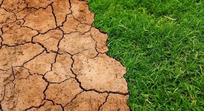 ZangoAbdoulRah2's tweet photo. pollution (eau, air, sol), changement climatique, l'insalubrité, perte de la biodiversité, déforestation, etc.cela provoque toujours le réchauffement climatique et le changement climatique
#226climativist https://t.co/x5VsanzBor