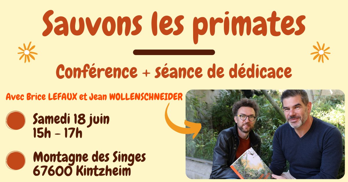#sauvons #les #primates 

📢 Conférence + séance de dédicace.

⏩🐒Ce samedi 18 juin, de 15h à 17h à la Montagne des Singes, se tiendra une conférence autour du livre "Sauvons les primates" écrit par Brice LEFAUX !

📍 Plus d'informations : 
montagnedessinges.com/brice-lefaux-c…