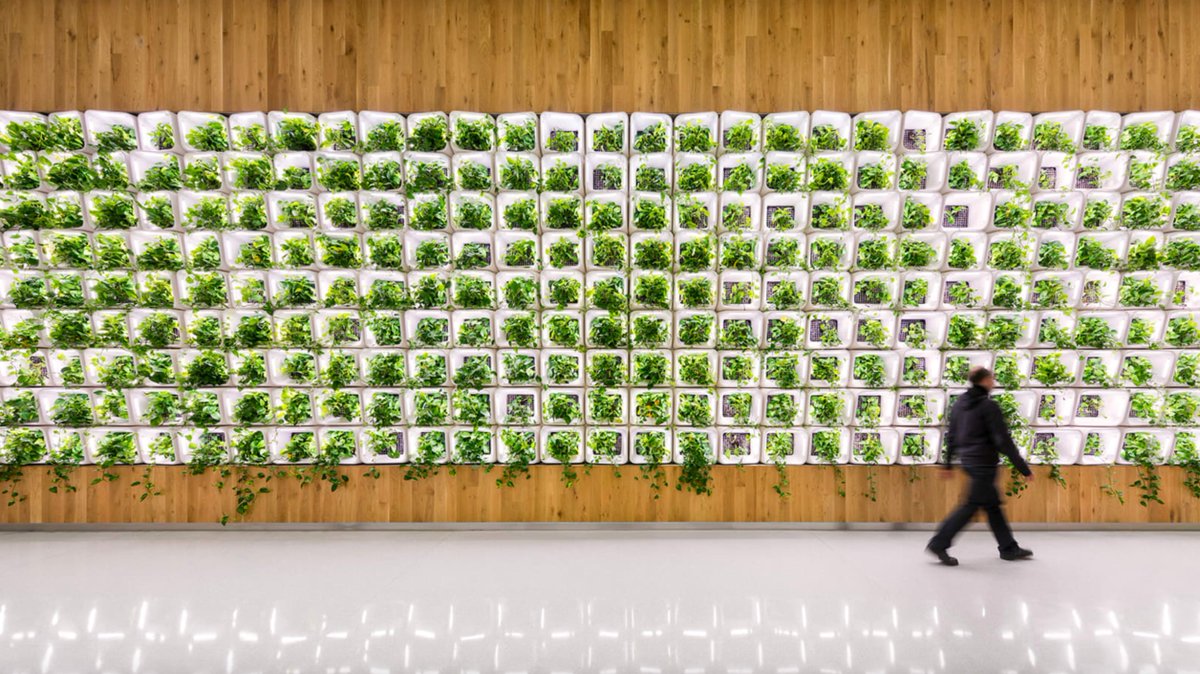 AIANational's tweet image. .@Julie_Hiromoto, FAIA, a principal at @HKSArchitects, is our Net Zero Hero [of the day] for Net Zero Buildings Week!

Julie is a driven advocate, committed to the environment, who strives to make a difference in communities she serves. → bit.ly/2NUKu9t

#NetZeroNow