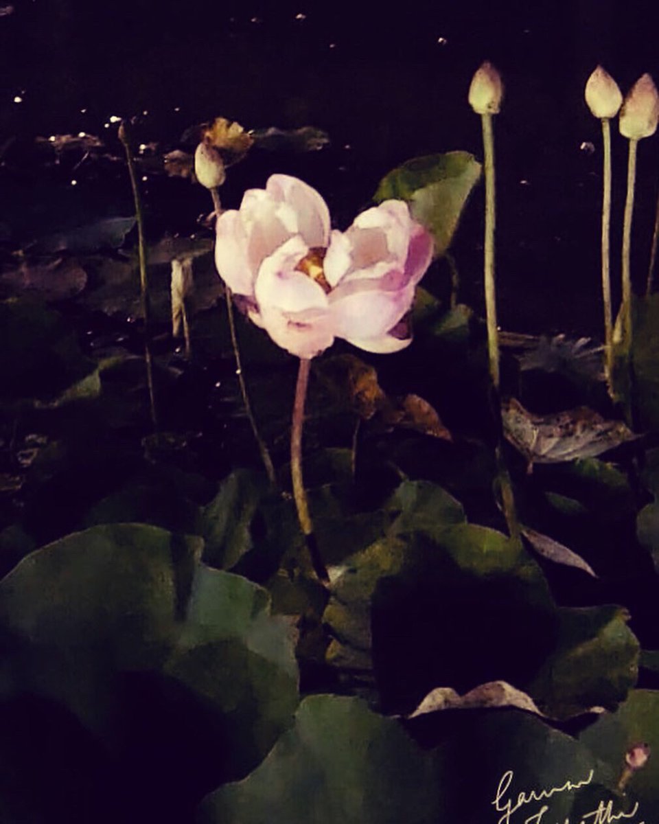 gauravmibm's tweet image. #darkness cannot overshadow ur confidence &amp;amp; focus. If u’r willing, light wil make its way &amp;amp; support in a way dat u look more beautiful, confident &amp;amp; #ready4dfuture 
Nature never cease 2 amaze me
#leadershipmatters
#natureateacher
#teamworkmakesadreamwork
#infycampus
#infyblr
#wfo