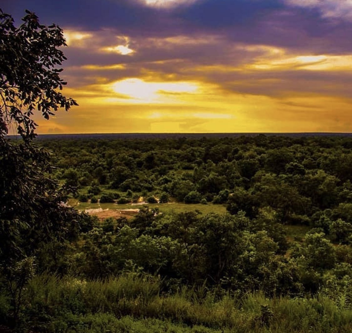 quame_age's tweet photo. Today on “Anything Ghana 🇬🇭 “,
Features the MOLE NATIONAL PARK located in the west Gonja district in the northern region of Ghana.
Like I always say , Ghana is not only Accra , Anytime you’re here move to the north and explore.
Your retweets will push this agenda far. 🇬🇭❤️ https://t.co/qRoJvf6PNw