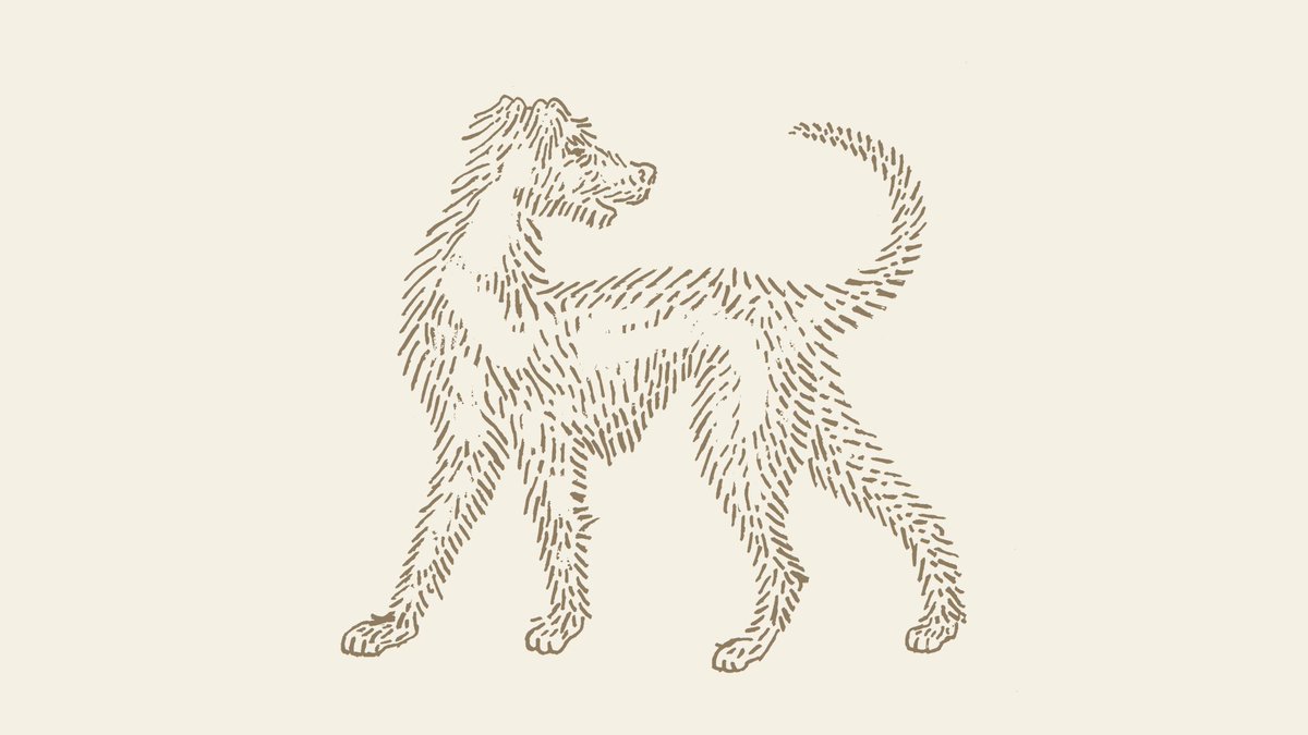 luvasramos's tweet photo. doggy #nicestudio https://t.co/ce3qW3yhqM