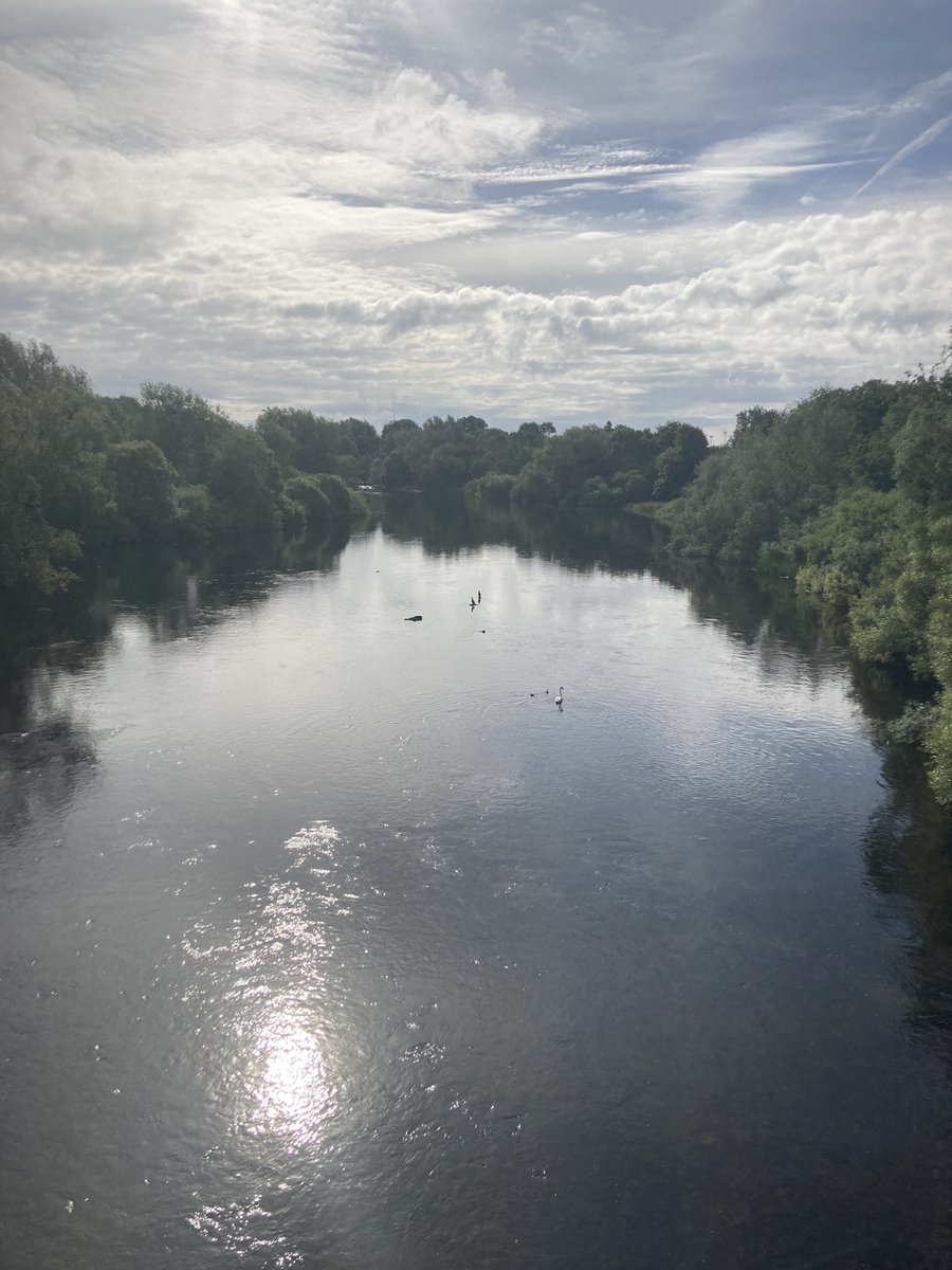 Dr Darina M. Slattery tweet media