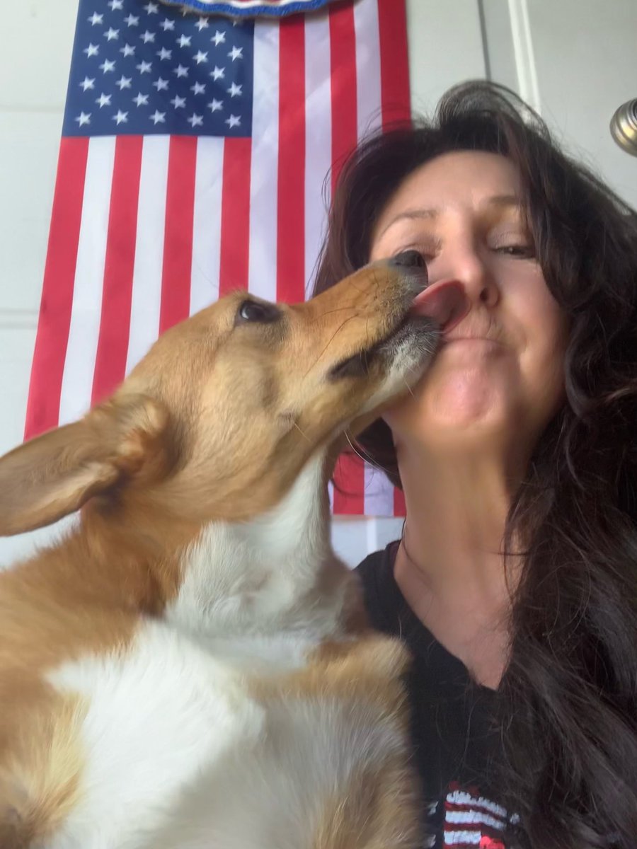 SolvingPhD's tweet photo. Me: Ok Hoppy let’s take a cool picture for Flag Day to post on social media.                    Hoppy: #FlagDay #corgisoftwitter #dogmom #DogsofTwittter #picfail https://t.co/1ibECXVEZ5