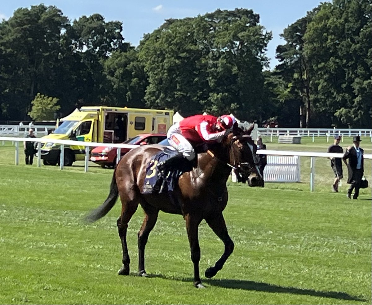 starbloodstock's tweet image. Great win for ⁦@Archie_Watson⁩ ⁦@HollieDoyle1⁩ bought only 6 weeks ago ⁦@GoffsUK⁩ ⁦@BrzUps⁩ by ⁦@tombiggs_bstock⁩ ⁦@BlandfordBldstk⁩ 

Keep it simple, just buy breezers

#betterstill #breezers