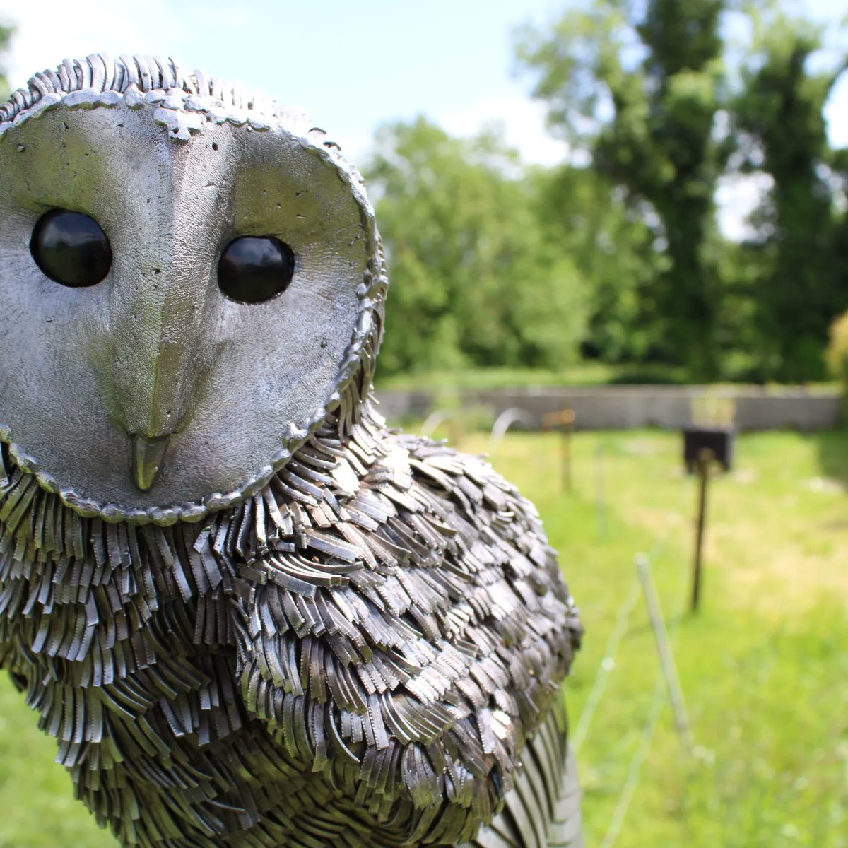 forgednature's tweet photo. Cauilleach-oidhche gheal. 
Hand made, all metal Barn Owl.
Visit @forgednature 
Co.Westmeath, Ireland 🇮🇪 
.
.
#metalart #metal #art #metalwork #handmade #sculpture #metalsculpture #metalartist #barnowl #owl #art #metalartwork #artist #weldporn #steelart #custom #handcrafted https://t.co/FGnb7AeuYs