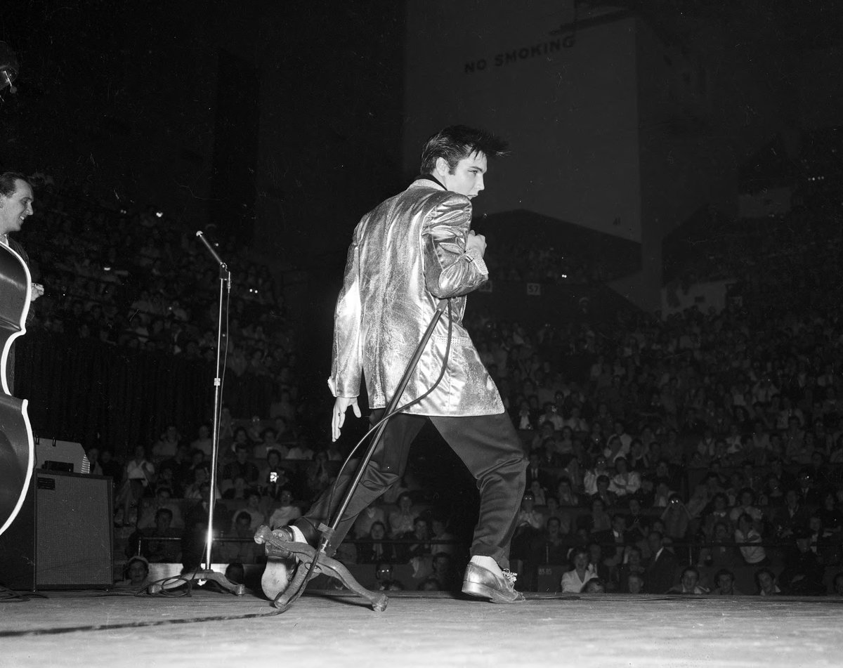 Warner Bros. Canada tweet media