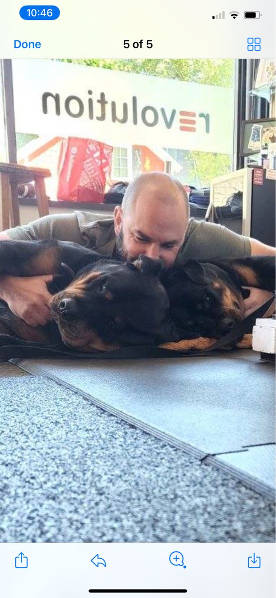 RevolutionFitn3's tweet photo. The best kind of therapy.  #fitness#functionaltraining#powerlifting#okympiclifting#ilovemydog https://t.co/3SYi9M7UcE
