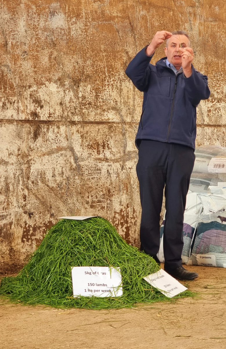 What a beautiful sunny day at Studdah Farm! #Proud2Farm☀️ 🌱