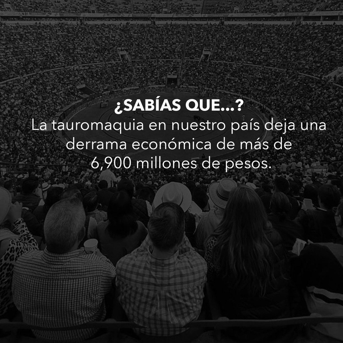 LaPlazaMexico's tweet photo. 🐂Una tarde de toros representa la activación de la economía en un entorno con tal magnitud que impacta benéficamente a cientos de sectores como transportistas, restauranteros, hoteleros, comerciantes y muchos más.💵💵 https://t.co/2tYDANN5WP