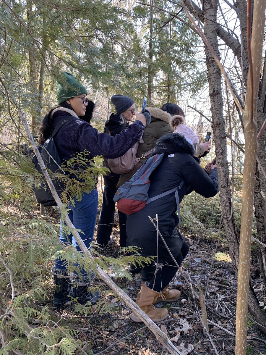 SenecaForest's tweet photo. Students walking the land, looking closely, sharing with others, and finding joy in the unexpected! https://t.co/N05oYlBlaf