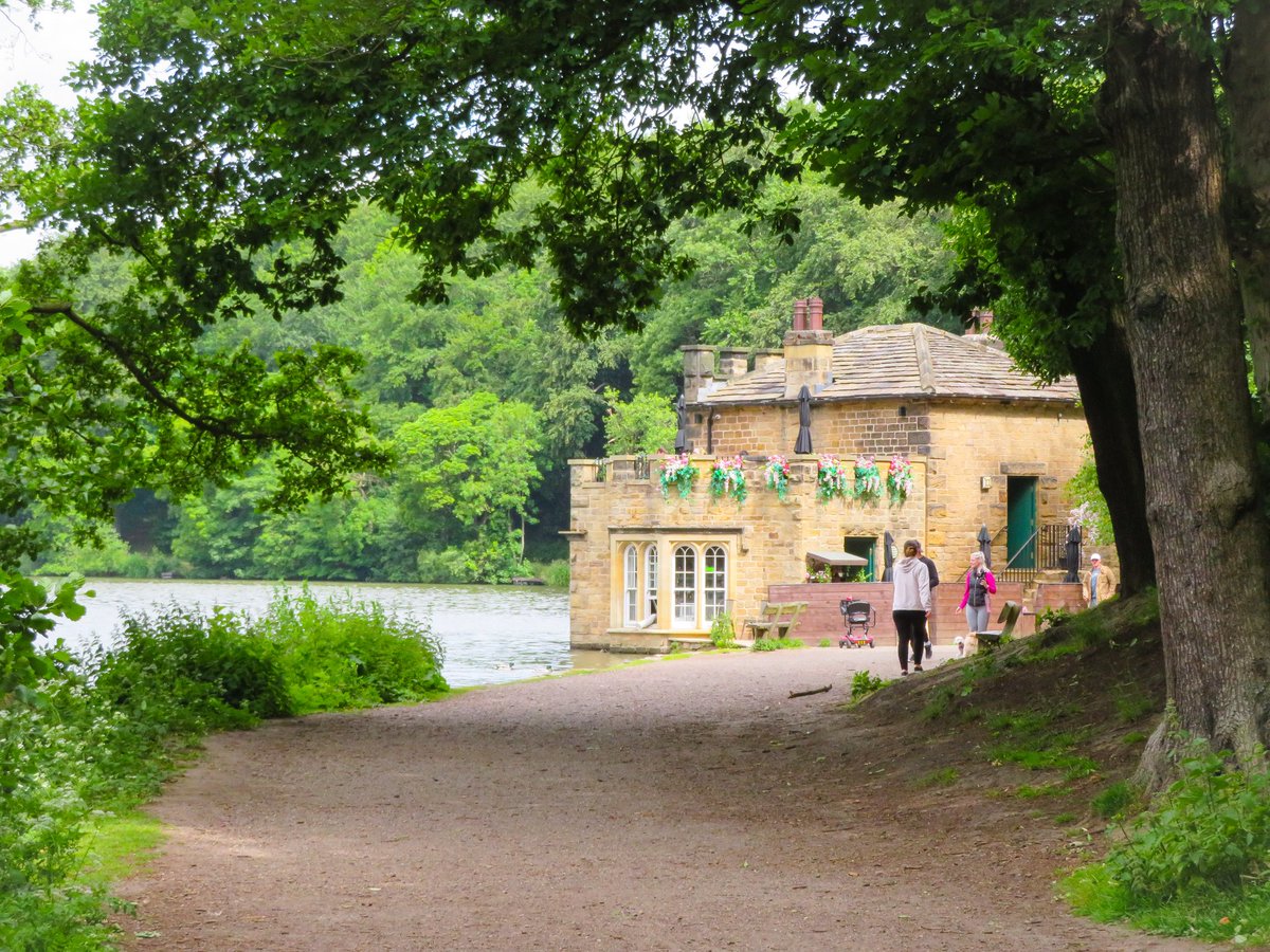 Nosey goose, swans and ducks at newmillerdam <a href="/journoLeanneC/">Leanne Clarke</a> #wakefieldweekly <a href="/WakeExpress/">Wakefield Express</a>