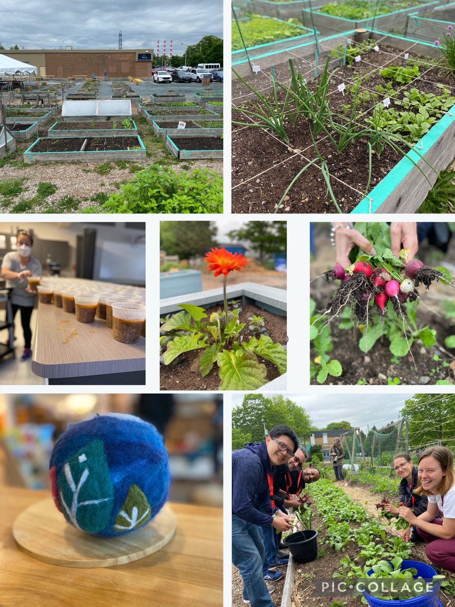 Deborah Zamin tweet media