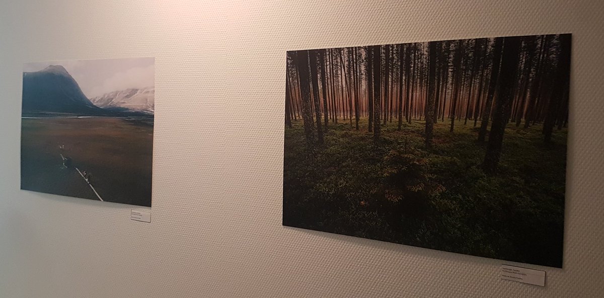 SE_Htm's tweet photo. A subset of the #ICOScapes Photo Exhibition with photos from @KPunkka & extra ones from @icossweden stations are up on the walls in #Hyltemossa.
Full virtual tour of #ICOScapes:
https://t.co/NCHIN2aqFJ https://t.co/Ig2EDVc9BI
