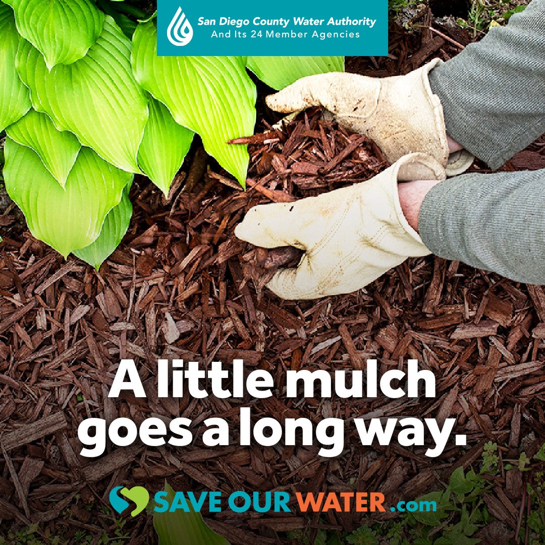 Sa Water Rebates Mulch