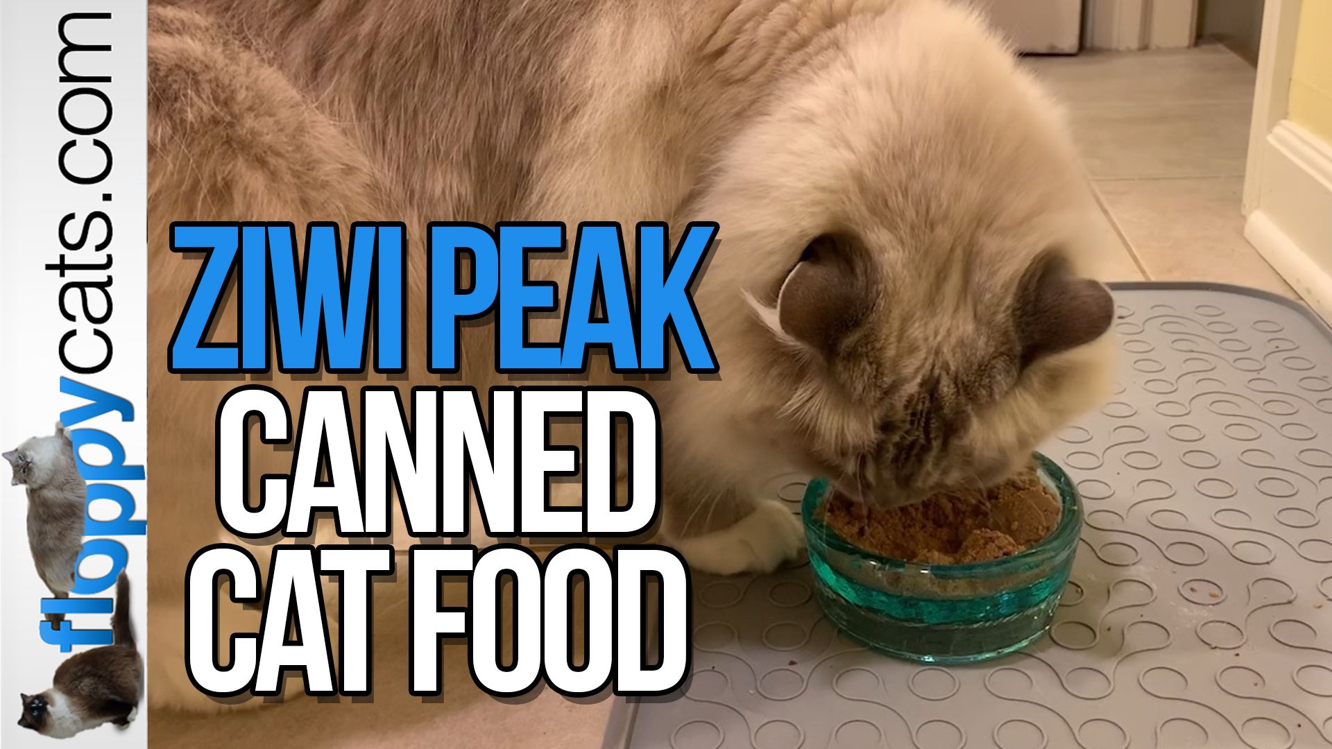 on Twitter "Have you seen this amazing cat food from