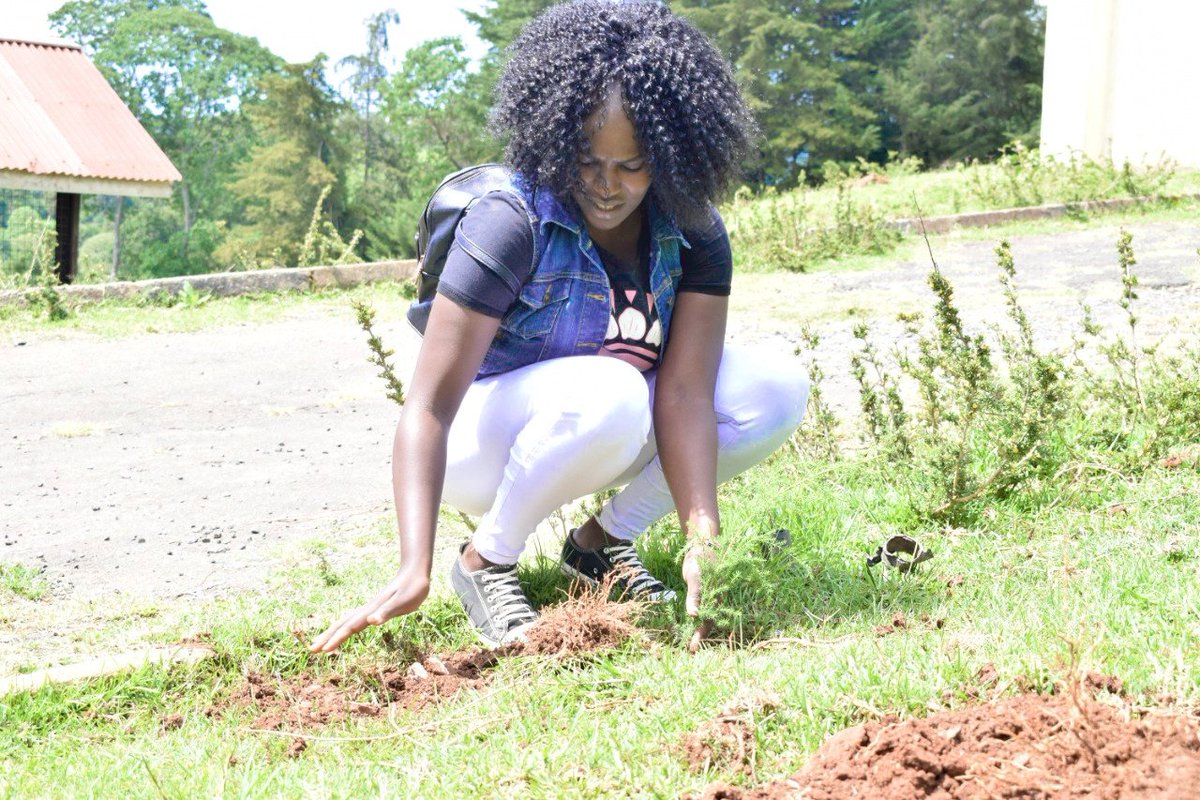 DeclaresKenya's tweet photo. Preparation for the day of an African child at the Children Protection Unit in West Pokot County, we also participated in tree planting. Its time we reflect on the progress made towards children's rights, and the barriers children face. @RedcrossKenya @YouthAliveKenya @hivosroea https://t.co/9HMmzDQGha