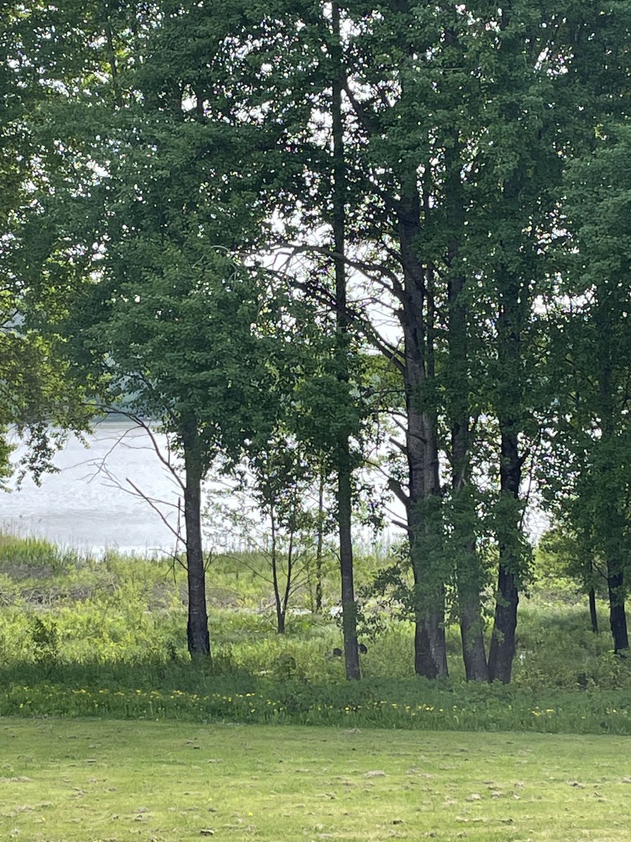malmstrom_hanna's tweet photo. .@helsinginsote’n Outamon lastenkoti sijaitsee Lohjalla luonnon kauniissa miljöössä, jonne on aina yhtä mukava mennä.
Osastolla tarjolla aamupala, siirtyessäsi, työtehtävien perässä, toiselle osastolle odottaa 🍰☕️
#yhteinentyö #sijaishuolto #nuoret #Toivotiimi https://t.co/9j3FANxxLr